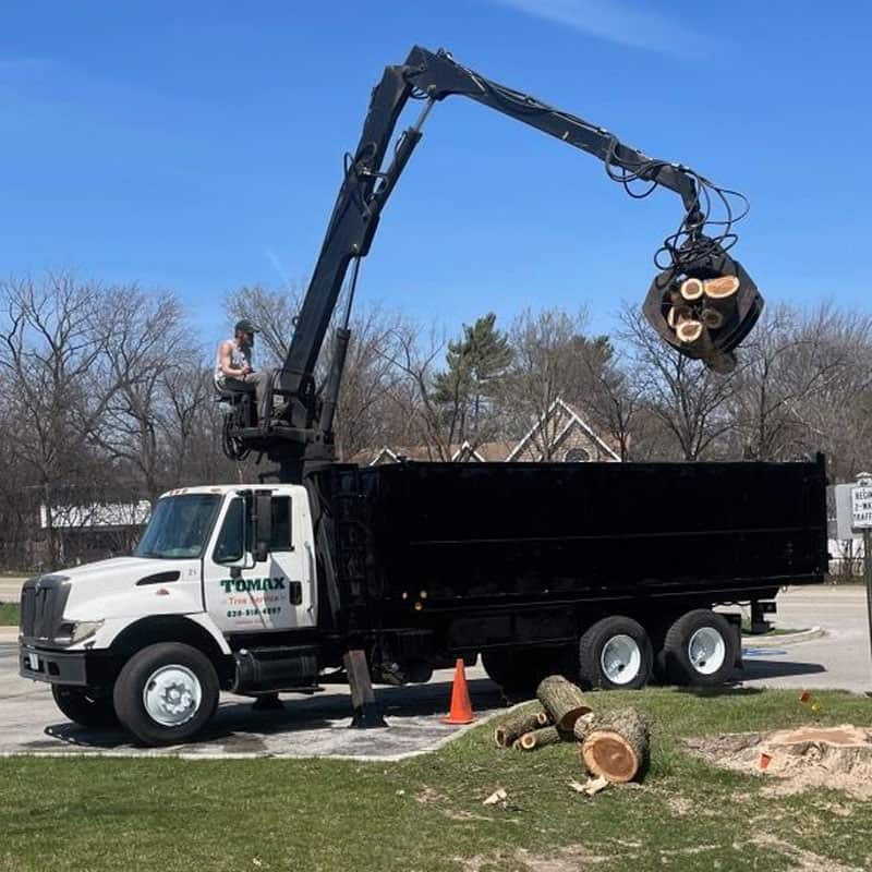 Completed tree work in Chicago suburbs
