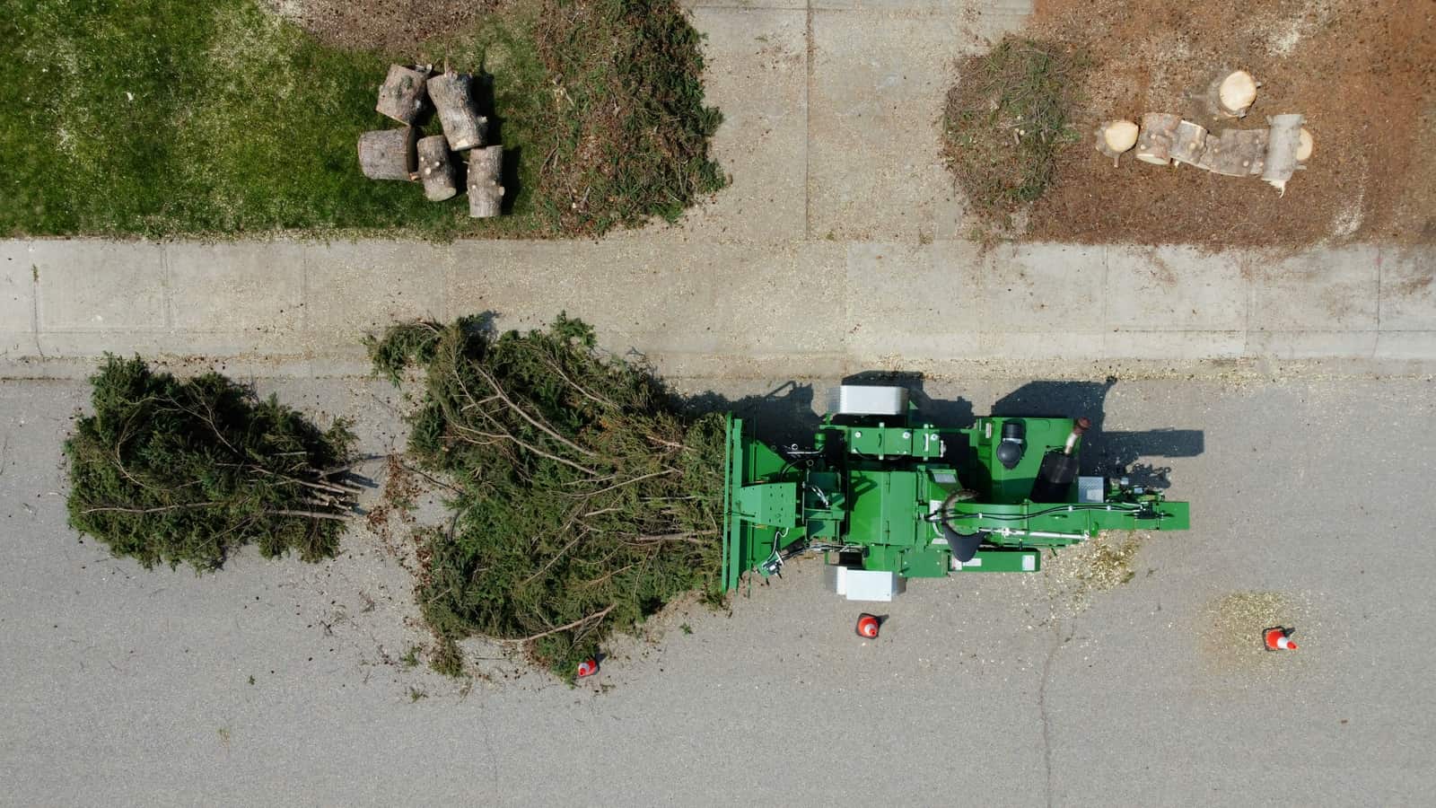 Professional stump grinding